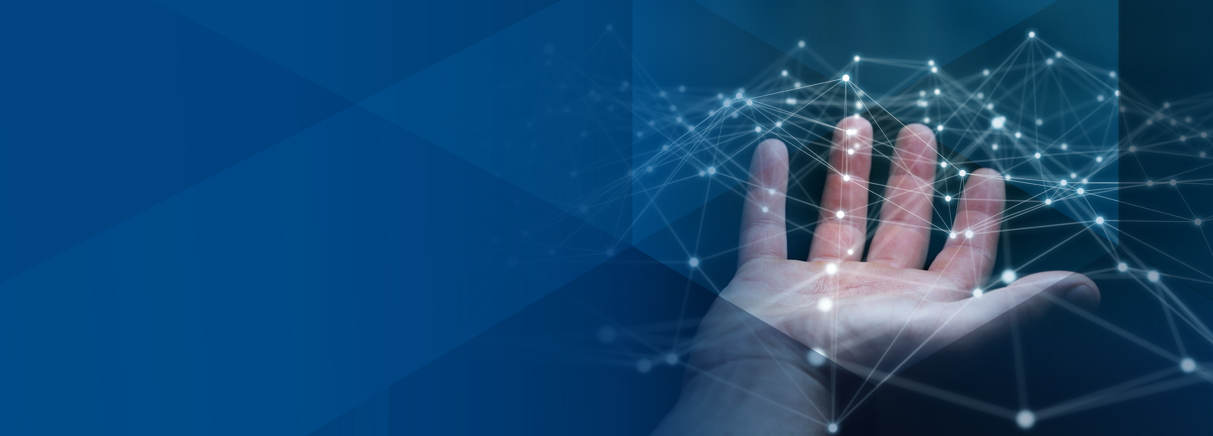 Plattformentwicklung