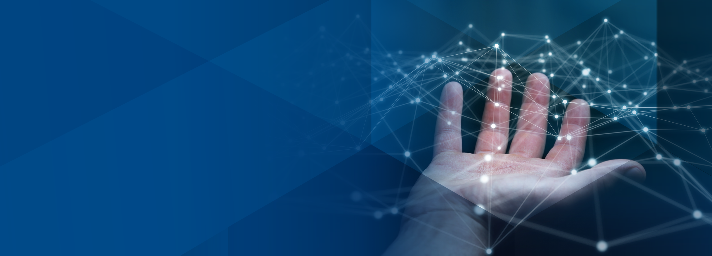 Plattformentwicklung